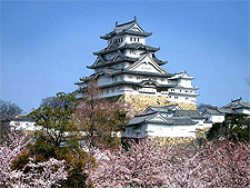 Photo of cherry blossom surrounding Himeji Castle