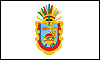 Guerrero flag