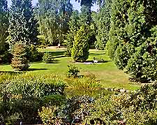 Photo of the botanical gardens