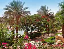 Photo of gardens at the five-star Seti Hotel