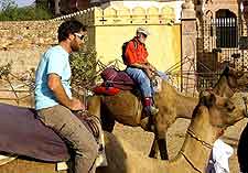 Photo of Agra's regional Camel Rides and Safaris