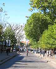Image of Cours Mirabeau District