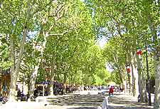 Picture of Aix-en-Provence street