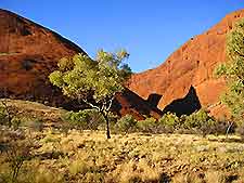 Alice Springs Life and Travel Tips