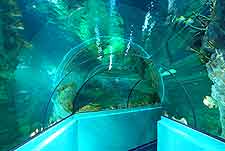 Picture of the Aquatopia Aquarium