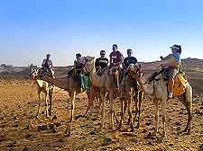 Photo of camel safari