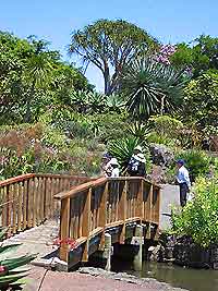 Auckland Parks and Gardens