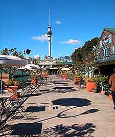 Auckland Restaurants and Dining