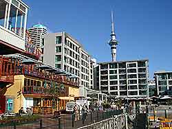 Auckland Information and Tourism