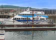 Image of whale watching boats