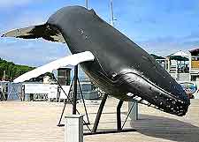 Photo of harborfront and whale sculpture