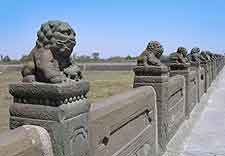 Close-up picture of the lions on Marco Polo Bridge (Luguoqiao)