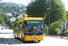 Picture of local trolleybus