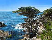 Photo taken on17 Mile Drive