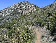 Image of popular Big Cone hiking trail