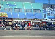 Blackpool Museums and Art Galleries: Picture showing the Doctor Who Museum