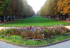 Photo of the University Botanical Gardens
