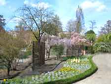 Picture of the Jardin Botanique