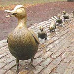 Photo of the statues of Mama Duck and her ducklings in the Boston Public Garden