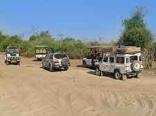 Picture of safari jeeps at the Chobe National Park