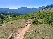 Image of well-used hiking trail