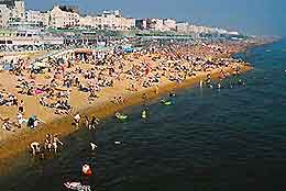 Brighton Information and Tourism