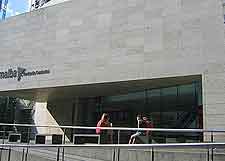 Museo de Arte Latinoamericano de Buenos Aires view (MALBA)