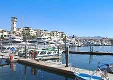 Picture of the marina, next to downtown