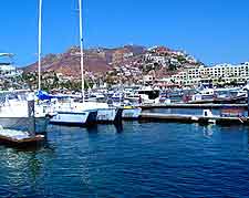 Marina view showing luxury yachts
