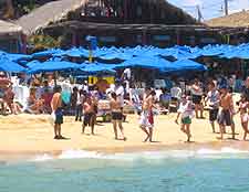Picture of the Playa El Medano (Medano Beach)