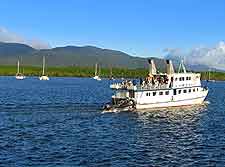 Daintree River and Crocodile Cruise photo