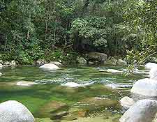 Daintree National Park view