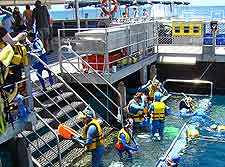 Scuba diving picture, taken at the famous Great Barrier Reef