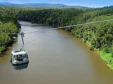 Kuranda Skyrail Rainforest Cableway image