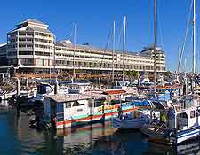 Picture of the marina in Cairns
