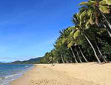 Palm Cove Beach picture