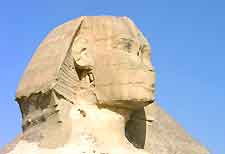 Cairo Image of the great Sphinx
