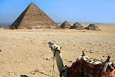 View of the Saqqara Pryramids (Sakkara)