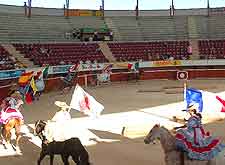 Picture of the Plaza de Toros (Bullfighting Ring)