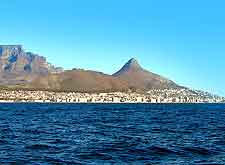View of Cape Town's Lion's Head mountain