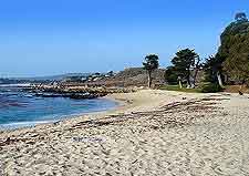 Further picture of Carmel's sandy beach