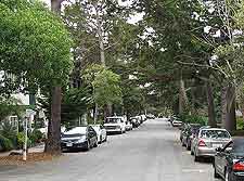 Picture of road leading to the coast