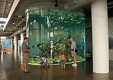 Photo inside the South Carolina Aquarium