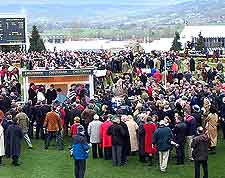 Photo of crowds at the local racecourse
