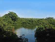 Vedanthangal Bird Sanctuary (Vedanthankal Lake Bird Sanctuary) view