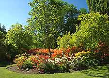 Christchurch Parks and Gardens