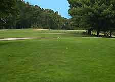 Picture showing golf course close to the city