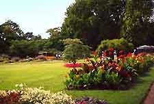 Picture of the Botanic Gardens (Flora und Botanischer Garten)