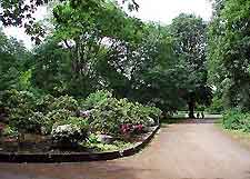 View of the City Garden (Stadtgarten)