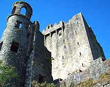 Extra photo of the nearby Blarney Castle